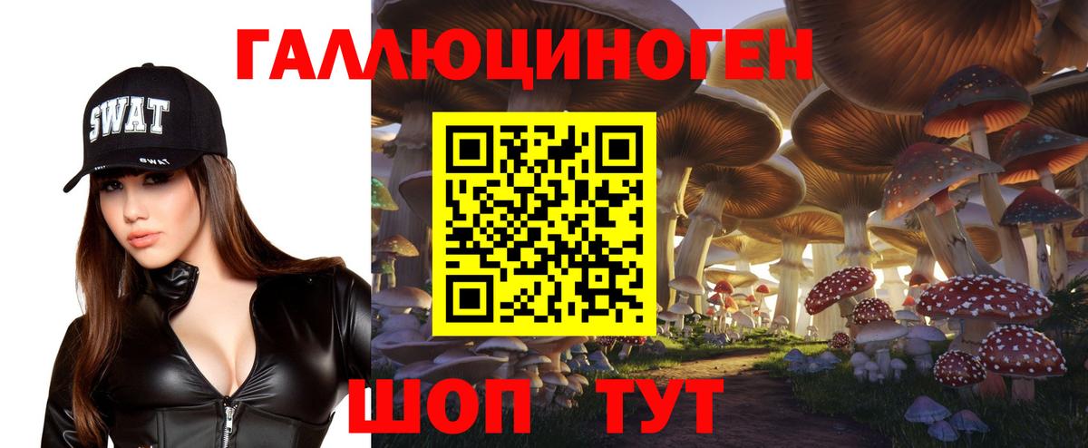 Среднеуральск  Галлюциногенные грибы GOLDEN TEACHER  Псилоцибиновые грибы ЛСД  Вход с VPN 